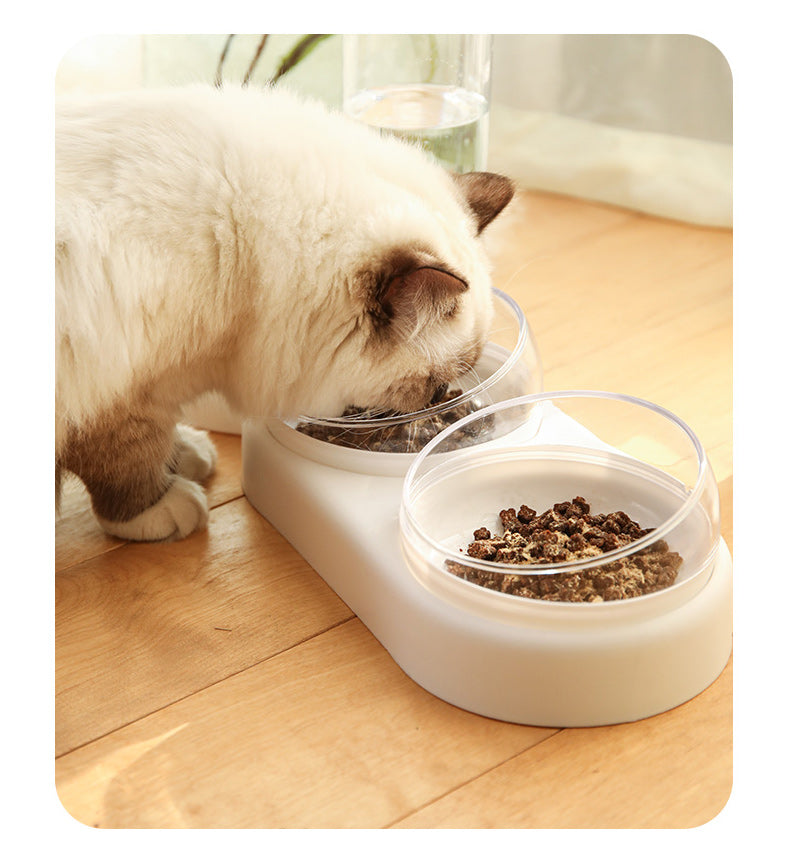 Raised Double Pet Bowl with Water Dispenser