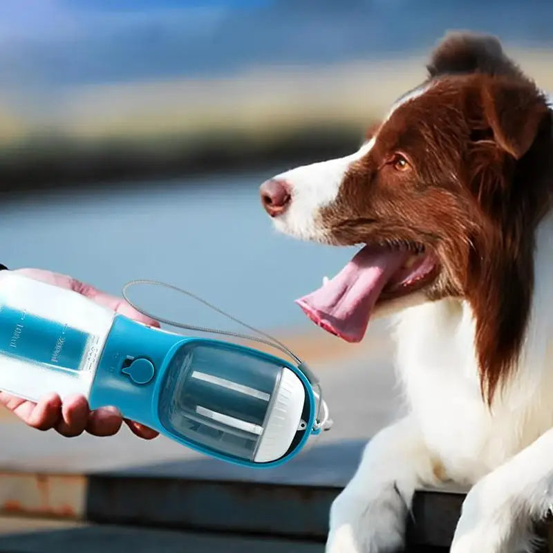 3-in-1 Portable Pet Water Bottle & Food Container