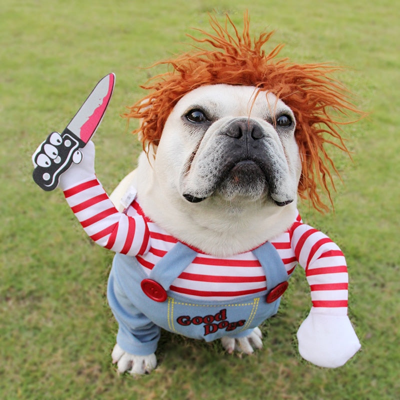 Halloween Pet Costume Collection for Dogs